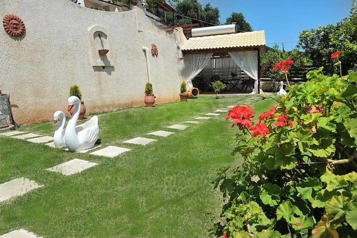 Angela Panorama Villa Paleokastritsa Bagian luar foto